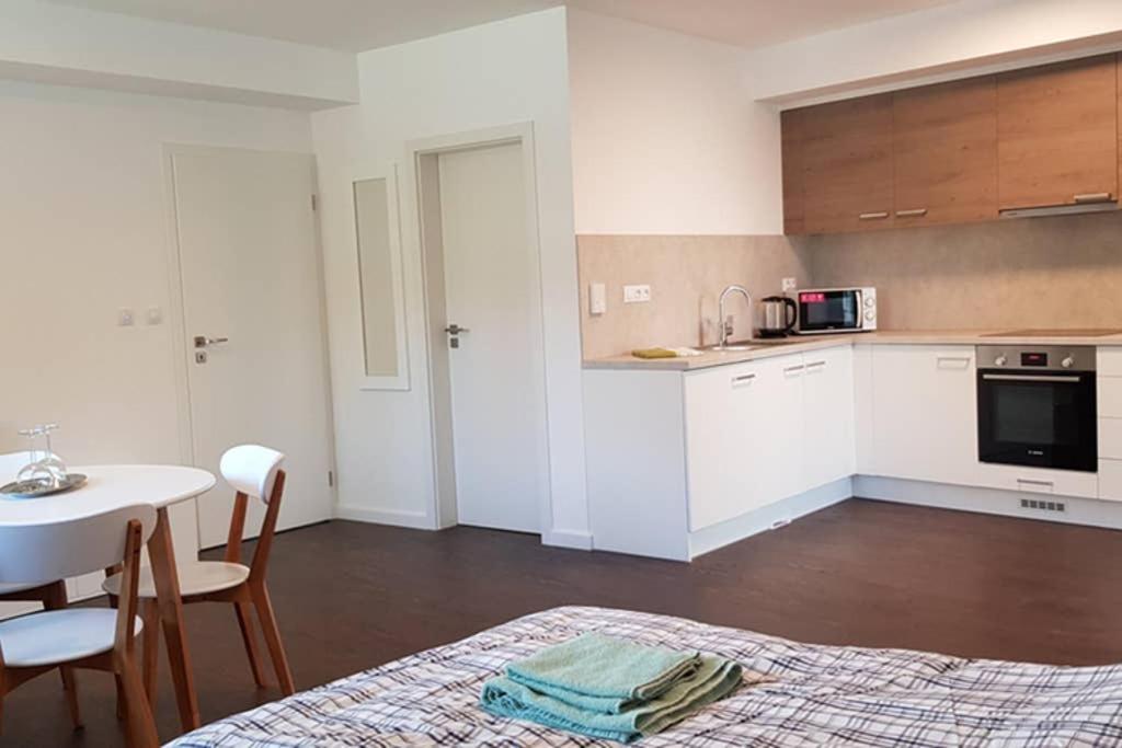 Suite With Back Garden Karlovy Vary Esterno foto